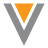 icon-veevacrm.png